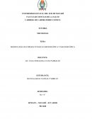 MORFOLOGÍA DE FORMAS FÚNGICAS MICROSCÓPICA Y MACROSCÓPICA