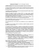 PAPELES DE TRABAJO. LEY 1314 DE 2009 - NIA 230