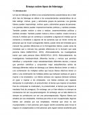 Ensayo sobre tipos de liderazgo