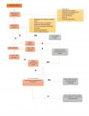 Toma de decisiones en protesis fija