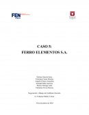 CASO 5: FERRO ELEMENTOS S.A.