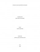 ESTUDIO DE CASO - REALIZACIÓN DE UN BALANCE