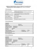 La Cultura Organizacional en el Sector Educativo y la oportunidad de introspección y fortalecimiento