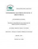 Descripcion del proceso de orientacion-consejeria