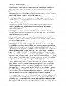 PROGRAMA DE INTERVENCIÓN