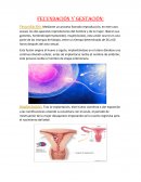 FECUNDACIÓN Y GESTACIÓN