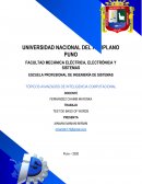 TÓPICOS AVANZADOS DE INTELIGENCIA COMPUTACIONAL