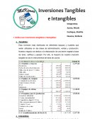 Inversiones tangibles e intangibles