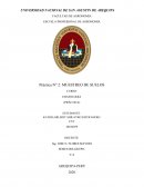 Práctica N° 2: MUESTREO DE SUELOS