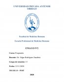 ENSAYO DE LA PELÍCULA HATER