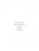 Propuesta de una idea de negocio