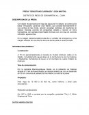 Geotecnia