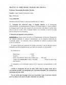 PRÁCTICA 10. DERECHO DEL TRABAJO. ADE. GRUPO 4