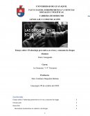 Ensayo sobre: El abordaje preventivo en el uso y consumo de drogas