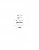 Comunicación Publicitaría