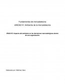 Impacto del ambiente de las decisiones mercadológicas en una organización