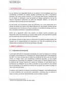 ¿Imprudencia temeraria o responsabilidad empresarial?