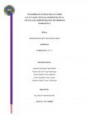 DIMENSIONES DEL MACROENTORNO GRUPO H