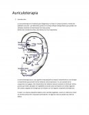 Apuntes Auriculoterapia