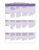 Rúbrica Analítica del Proyecto Final