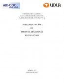 IMPLEMENTACIÓN DE TOMA DE DECISIONES EN UNA PYME