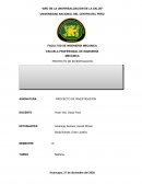 Trabajos de investigacion, empresa “EL VELOZ” en el programa FluidSIM