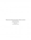 Políticas macroeconómicas: fiscal, monetaria, cambiaria y arancelaria