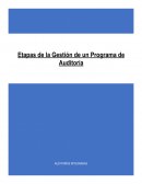 Etapas de la gestión de un programa de auditoría