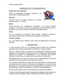 Diagnostico de una empresa