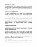 Los protistas y sus usos en la vida