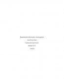 Caso: empresa maestranza Décor S.A