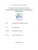 Minería Ilegal Perú