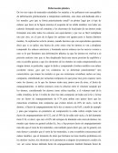 Deformación plástica