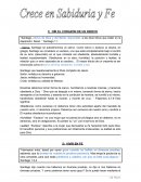 Crece en sabiduría y fe (Resumen)