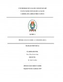 ENSAYO SOBRE LA TERMODINAMICA