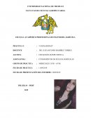 INFOMRE DE CAPILARIDAD