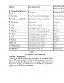 Anatomofisiología y Patología Básica