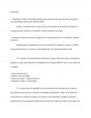 Planificación Programa de Inspección Anual 2018 Empresa RBAR