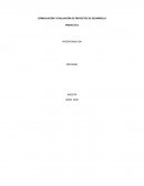 FORMULACIÓN Y EVALUACIÓN DE PROYECTOS DE DESARROLLO