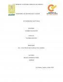 ENSAYO: “GLOBALIZACION”