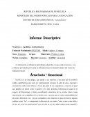 Informe Descriptivo del niño o la niña