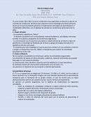 Plan de trabajo anual Ciclo escolar