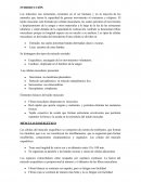 Histología músculos