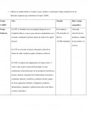 Administracion de empresas. Grupo CARSO