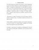 Solución Caso Hamburguesas El Corral