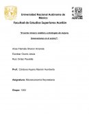 El sector minero: Análisis y estrategias de mejora