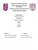 ELABORACIÓN DE TEPACHE