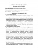 Análisis Energy, exergy and economic analysis of industrial boilers