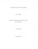 LOS IMPACTOS QUE OCASIONO LA PANDEMIA