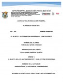 EL SUJETO Y SU FORMACIÓN PROFESIONAL COMO DOCENTE